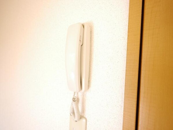 パレアナの物件内観写真